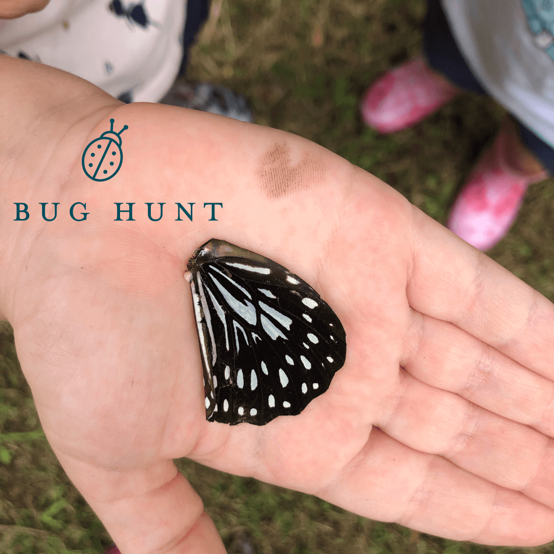 Girl&#39;s hand with a butterfly wing | Memory Makers Family Edition Bug Hunt